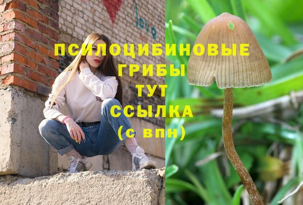 молекула духа Абинск