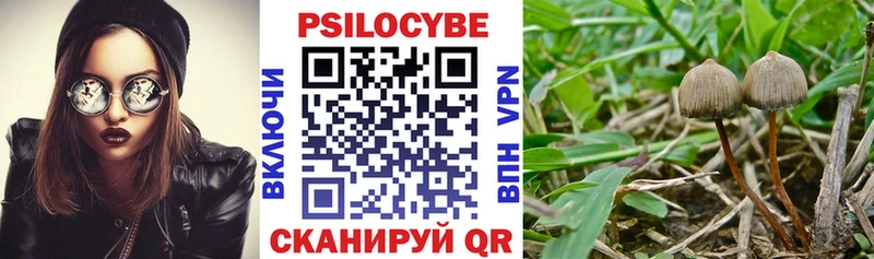 Галлюциногенные грибы прущие грибы  Яблоновский 